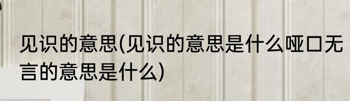 见识的意思(见识的意思是什么哑口无言的意思是什么)