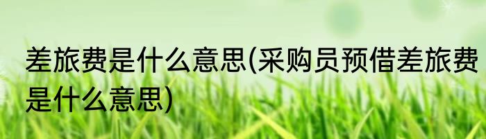 差旅费是什么意思(采购员预借差旅费是什么意思)