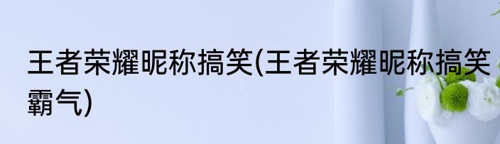 王者荣耀昵称搞笑(王者荣耀昵称搞笑霸气)