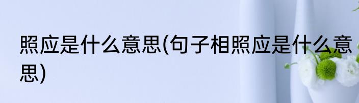 照应是什么意思(句子相照应是什么意思)