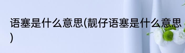 语塞是什么意思(靓仔语塞是什么意思)