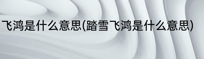 飞鸿是什么意思(踏雪飞鸿是什么意思)