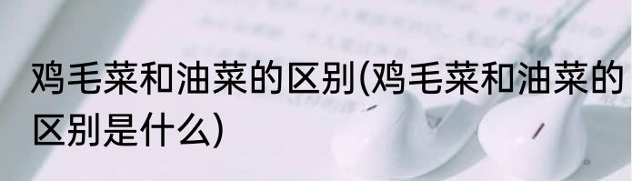鸡毛菜和油菜的区别(鸡毛菜和油菜的区别是什么)