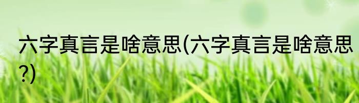 六字真言是啥意思(六字真言是啥意思?)