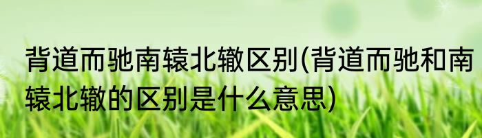 背道而驰南辕北辙区别(背道而驰和南辕北辙的区别是什么意思)