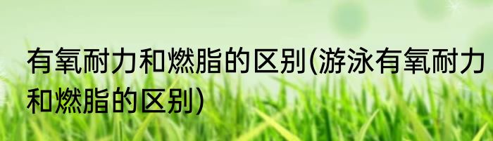 有氧耐力和燃脂的区别(游泳有氧耐力和燃脂的区别)