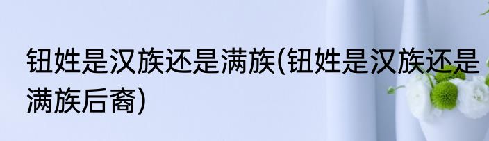 钮姓是汉族还是满族(钮姓是汉族还是满族后裔)