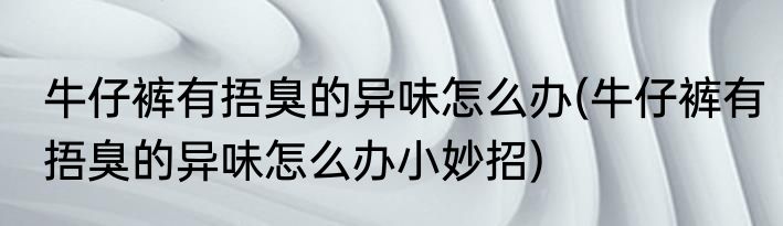 牛仔裤有捂臭的异味怎么办(牛仔裤有捂臭的异味怎么办小妙招)