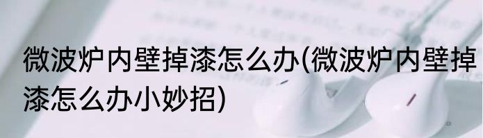 微波炉内壁掉漆怎么办(微波炉内壁掉漆怎么办小妙招)