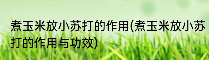 煮玉米放小苏打的作用(煮玉米放小苏打的作用与功效)