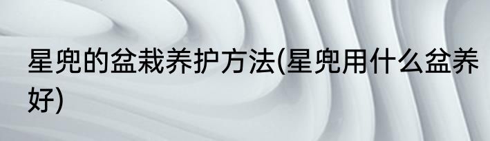 星兜的盆栽养护方法(星兜用什么盆养好)