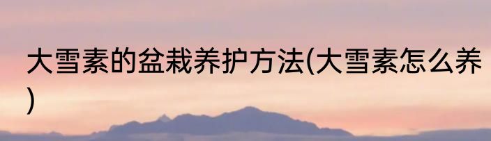 大雪素的盆栽养护方法(大雪素怎么养)