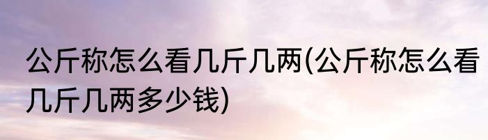 公斤称怎么看几斤几两(公斤称怎么看几斤几两多少钱)