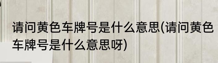请问黄色车牌号是什么意思(请问黄色车牌号是什么意思呀)