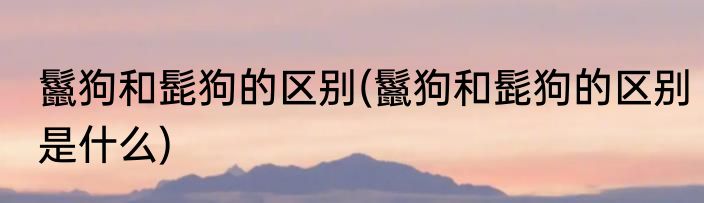 鬣狗和髭狗的区别(鬣狗和髭狗的区别是什么)