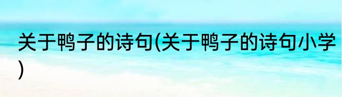 关于鸭子的诗句(关于鸭子的诗句小学)