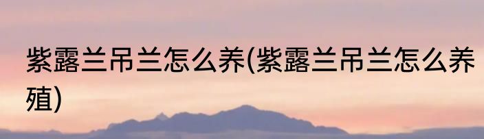 紫露兰吊兰怎么养(紫露兰吊兰怎么养殖)