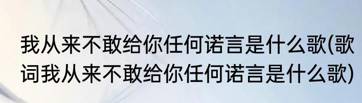 我从来不敢给你任何诺言是什么歌(歌词我从来不敢给你任何诺言是什么歌)