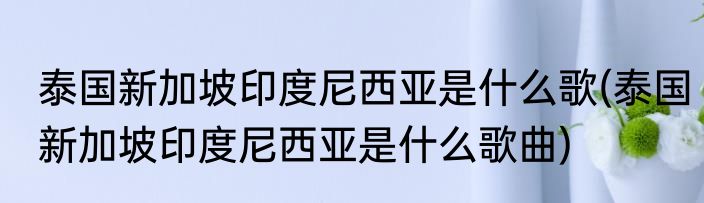 泰国新加坡印度尼西亚是什么歌(泰国新加坡印度尼西亚是什么歌曲)