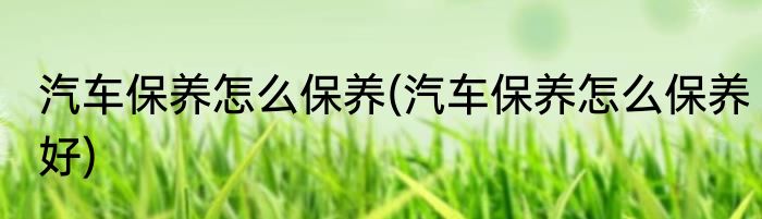 汽车保养怎么保养(汽车保养怎么保养好)