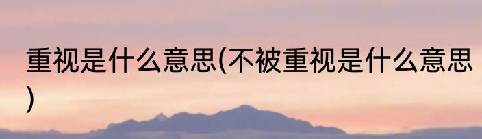 重视是什么意思(不被重视是什么意思)