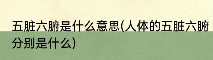 五脏六腑是什么意思(人体的五脏六腑分别是什么)