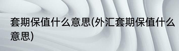 套期保值什么意思(外汇套期保值什么意思)