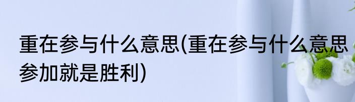 重在参与什么意思(重在参与什么意思参加就是胜利)