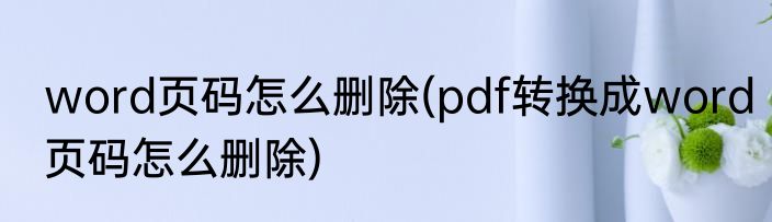 word页码怎么删除(pdf转换成word页码怎么删除)
