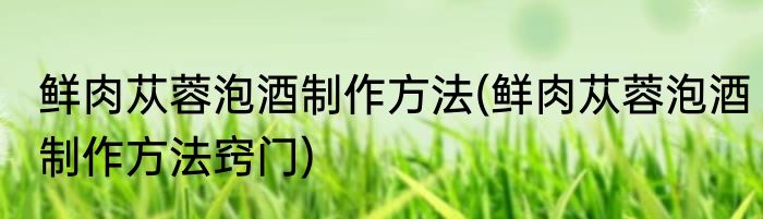 鲜肉苁蓉泡酒制作方法(鲜肉苁蓉泡酒制作方法窍门)