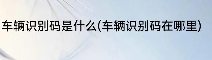 车辆识别码是什么(车辆识别码在哪里)