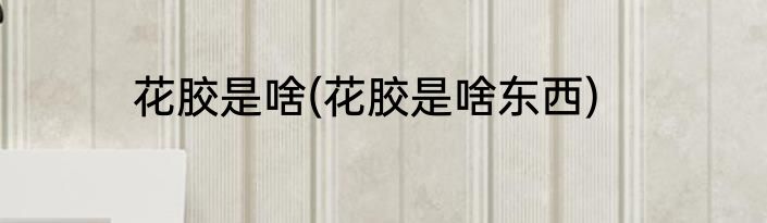 花胶是啥(花胶是啥东西)