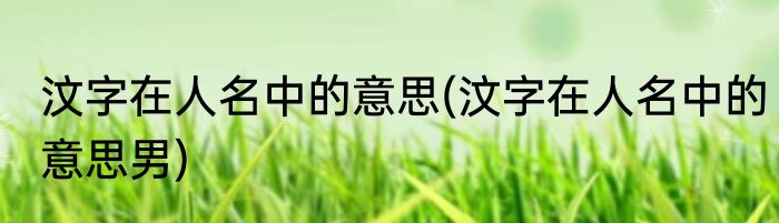 汶字在人名中的意思(汶字在人名中的意思男)