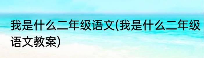 我是什么二年级语文(我是什么二年级语文教案)
