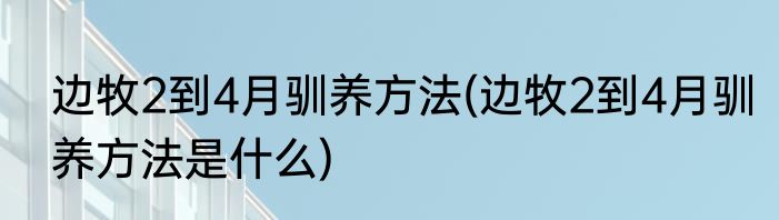边牧2到4月驯养方法(边牧2到4月驯养方法是什么)