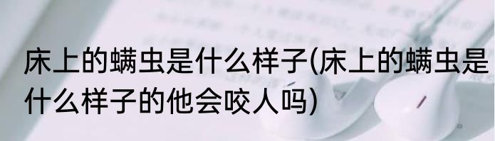 床上的螨虫是什么样子(床上的螨虫是什么样子的他会咬人吗)