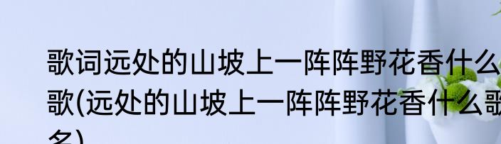 歌词远处的山坡上一阵阵野花香什么歌(远处的山坡上一阵阵野花香什么歌名)