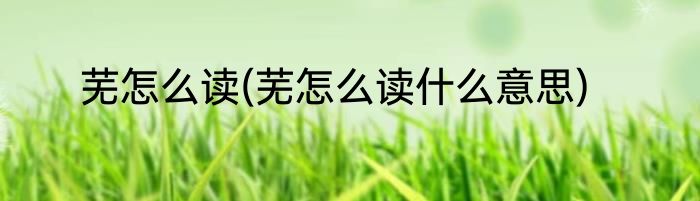 芜怎么读(芜怎么读什么意思)