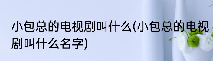 小包总的电视剧叫什么(小包总的电视剧叫什么名字)