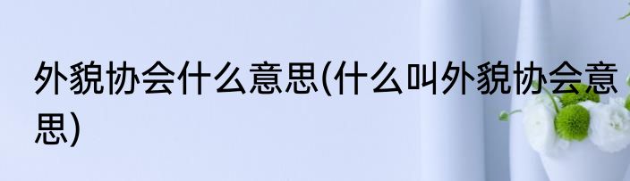 外貌协会什么意思(什么叫外貌协会意思)