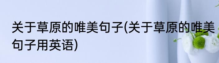 关于草原的唯美句子(关于草原的唯美句子用英语)