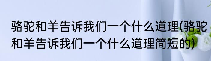 骆驼和羊告诉我们一个什么道理(骆驼和羊告诉我们一个什么道理简短的)