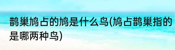 鹊巢鸠占的鸠是什么鸟(鸠占鹊巢指的是哪两种鸟)