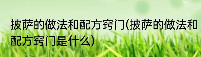 披萨的做法和配方窍门(披萨的做法和配方窍门是什么)