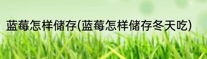 蓝莓怎样储存(蓝莓怎样储存冬天吃)