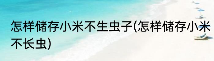 怎样储存小米不生虫子(怎样储存小米不长虫)