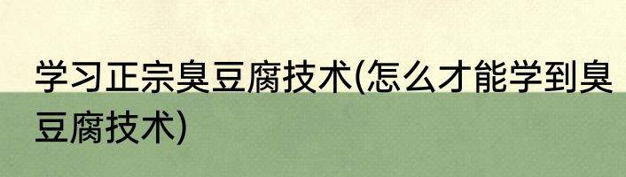 学习正宗臭豆腐技术(怎么才能学到臭豆腐技术)