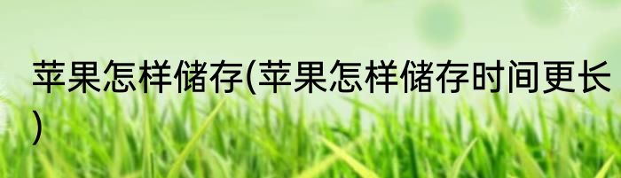 苹果怎样储存(苹果怎样储存时间更长)