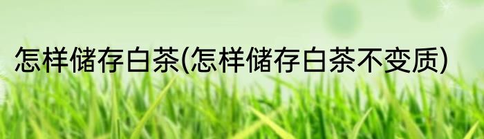 怎样储存白茶(怎样储存白茶不变质)