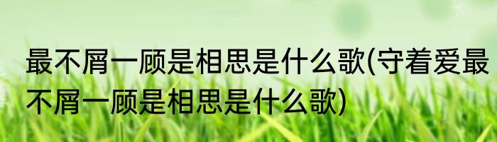 最不屑一顾是相思是什么歌(守着爱最不屑一顾是相思是什么歌)